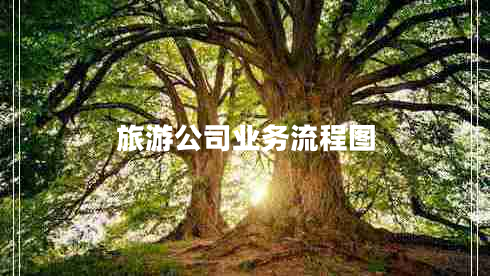 旅游公司業(yè)務(wù)流程圖