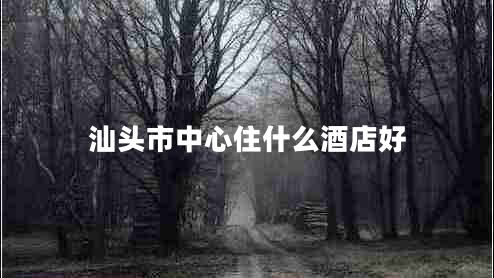 汕頭市中心住什么酒店好