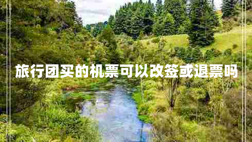 旅行團買的機票可以改簽或退票嗎