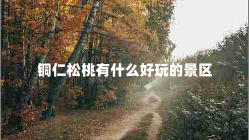 銅仁松桃有什么好玩的景區(qū) 銅仁松桃有什么好玩的景區(qū)