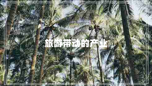 旅游帶動(dòng)的產(chǎn)業(yè)