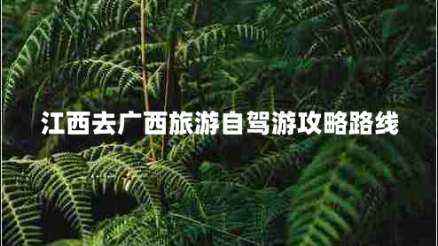 江西去廣西旅游自駕游攻略路線