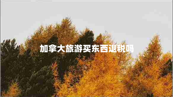 加拿大旅游買東西退稅嗎 加拿大旅游買東西退稅嗎