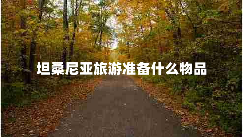 坦桑尼亞旅游準(zhǔn)備什么物品