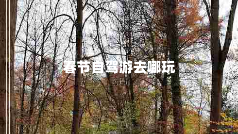 春節(jié)自駕游去哪玩