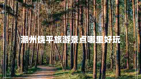 潮州饒平旅游景點(diǎn)哪里好玩