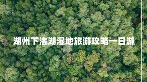 湖州下渚湖濕地旅游攻略一日游 湖州下渚湖濕地旅游攻略一日游