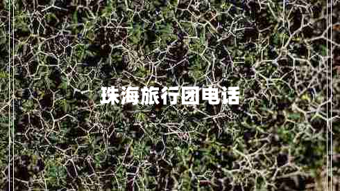 珠海旅行團電話 珠海旅行團電話