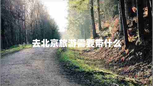 去北京旅游需要帶什么 去北京旅游需要帶什么