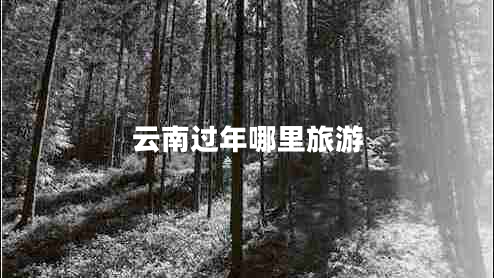 云南過年哪里旅游 云南過年哪里旅游