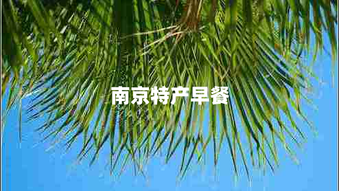 南京特產(chǎn)早餐