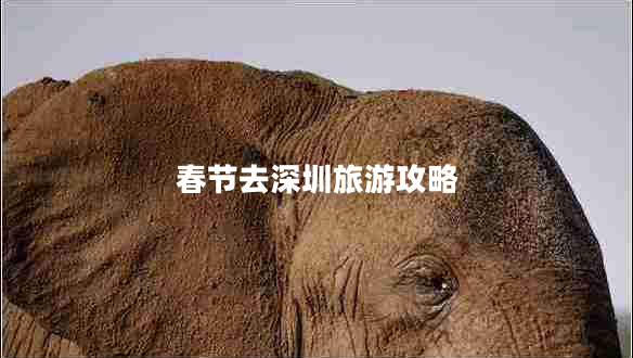 春節(jié)去深圳旅游攻略