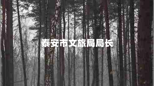 泰安市文旅局局長