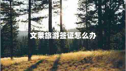 文萊旅游簽證怎么辦