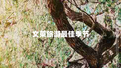 文萊旅游最佳季節(jié)