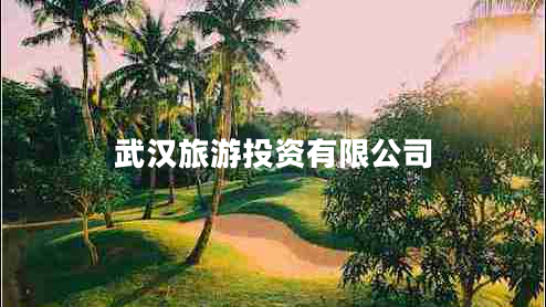 武漢旅游投資有限公司