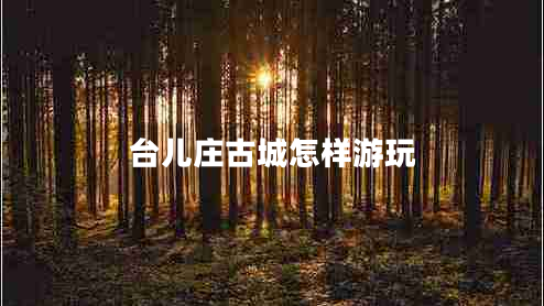 臺(tái)兒莊古城怎樣游玩