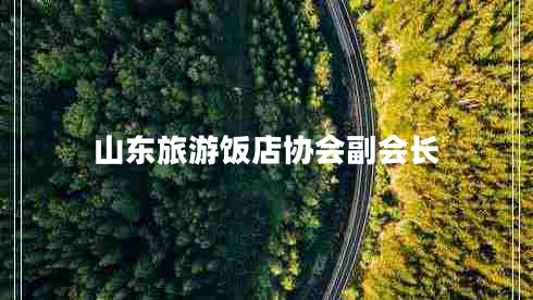 山東旅游飯店協(xié)會副會長