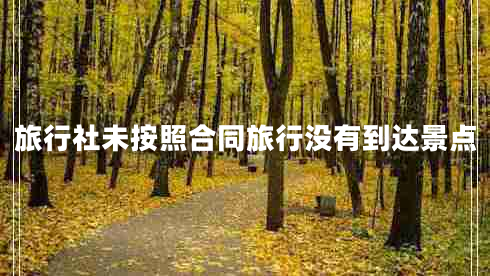 旅行社未按照合同旅行沒(méi)有到達(dá)景點(diǎn)