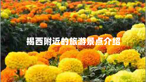 揭西附近的旅游景點(diǎn)介紹 揭西附近的旅游景點(diǎn)介紹