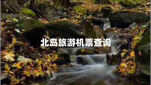 北島旅游機(jī)票查詢