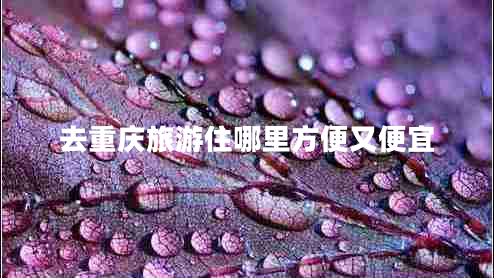 去重慶旅游住哪里方便又便宜 去重慶旅游住哪里方便又便宜