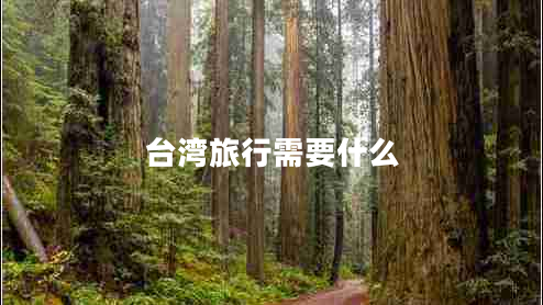 臺灣旅行需要什么