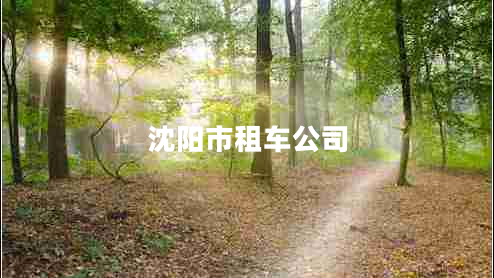 沈陽市租車公司