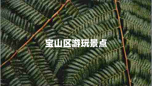 寶山區(qū)游玩景點(diǎn)