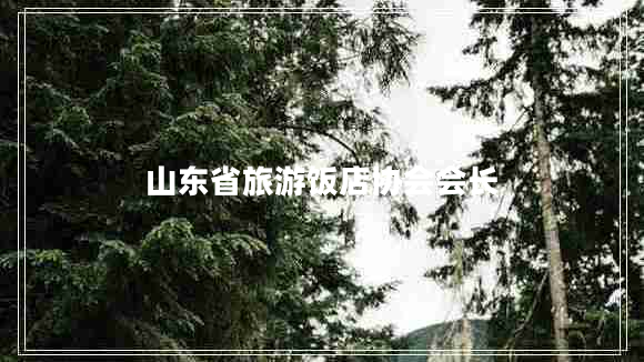 山東省旅游飯店協(xié)會會長 山東省旅游飯店協(xié)會會長