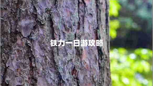 鐵力一日游攻略 鐵力一日游攻略