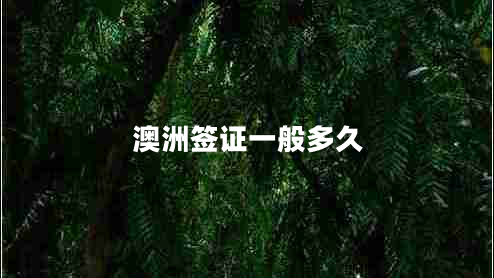 澳洲簽證一般多久