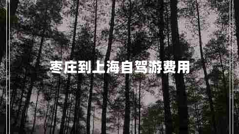 棗莊到上海自駕游費(fèi)用