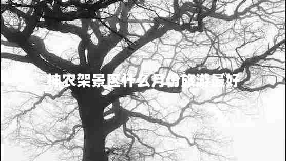 神農(nóng)架景區(qū)什么月份旅游最好