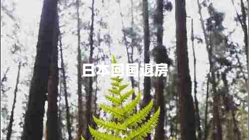 日本回國退房