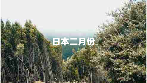 日本二月份