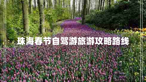 珠海春節(jié)自駕游旅游攻略路線