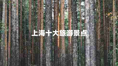 上海十大旅游景點