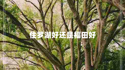 住羅湖好還是福田好
