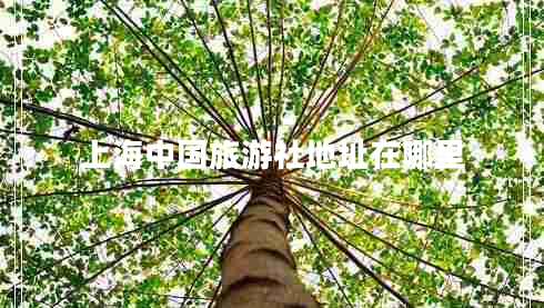 上海中國(guó)旅游社地址在哪里