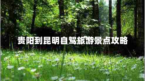 貴陽到昆明自駕旅游景點攻略