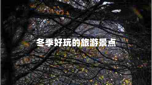 冬季好玩的旅游景點(diǎn)