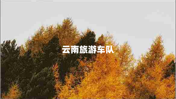 云南旅游車隊(duì)