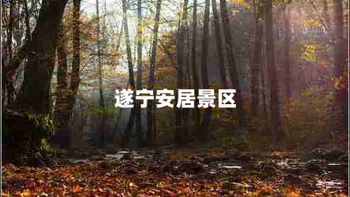 遂寧安居景區(qū) 遂寧安居景區(qū)