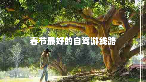 春節(jié)最好的自駕游線路