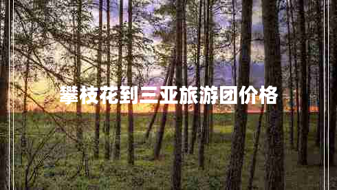 攀枝花到三亞旅游團價格