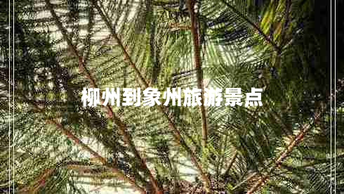 柳州到象州旅游景點(diǎn) 柳州到象州旅游景點(diǎn)