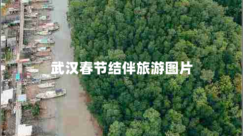 武漢春節(jié)結(jié)伴旅游圖片