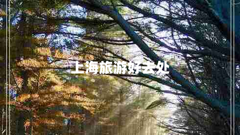 上海旅游好去處