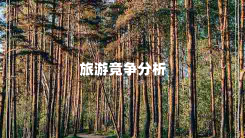 旅游競爭分析 旅游競爭分析